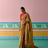 Mustard Chintz Saree